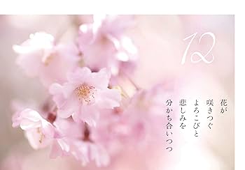 【たぁこ*さま】* vintage flower ❀ * 小さな 小さなお花たち 美濃焼｜fiorina 小さなお花たち 小花皿 ｜ ｜食器セット ｜皿